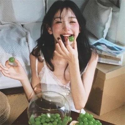 来自收容所的爱