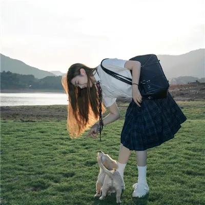 江户盗贼团五叶
